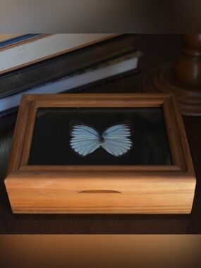 Vintage Wood Trinket Box W/ Pearl Wanderer Butterfly Wings
